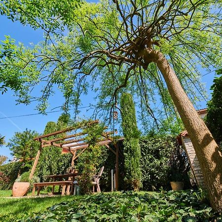 אומאג Avantgarden מראה חיצוני תמונה